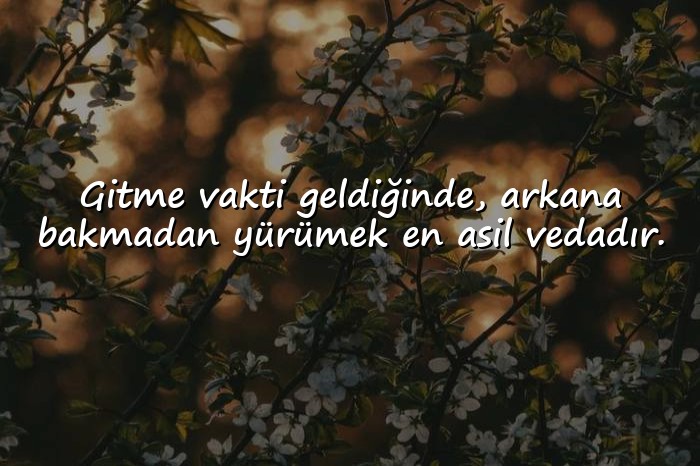 resimli veda sözleri - 6