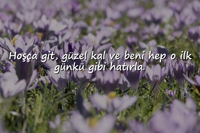 resimli veda sözleri - 1