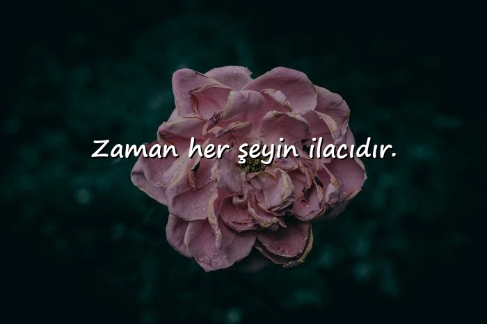 resimli whatsapp biyografi sözleri - 16