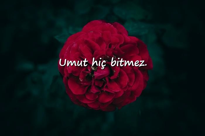 resimli whatsapp biyografi sözleri - 6