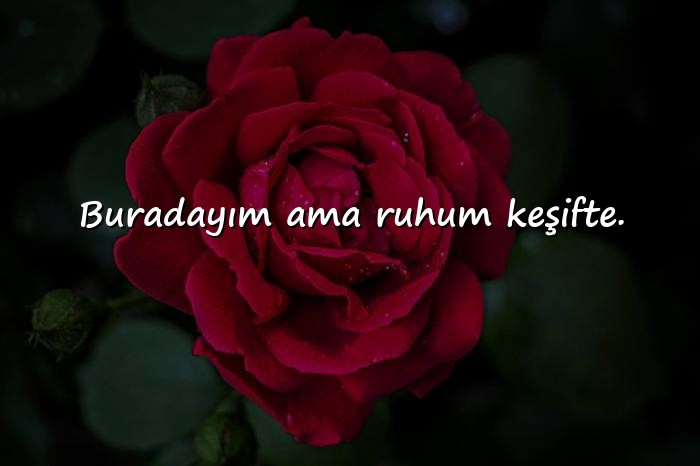 resimli whatsapp hakkımda sözleri - 1