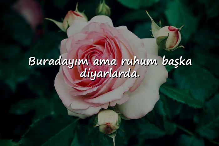 resimli whatsapp sözleri - 1