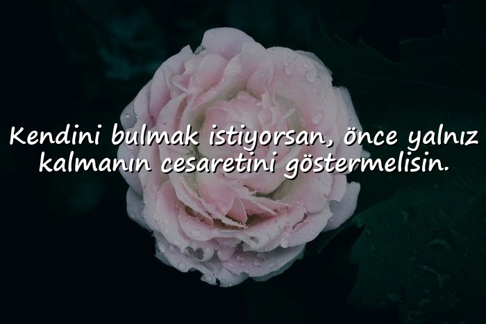 resimli yalnızlık ile ilgili sözler - 16