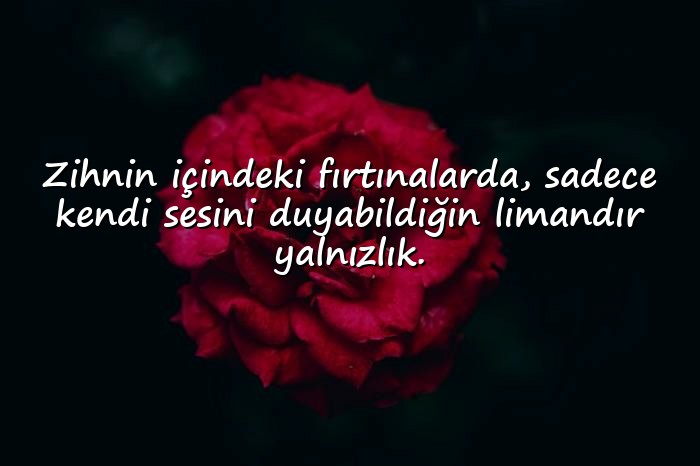 resimli yalnızlık ile ilgili sözler - 11