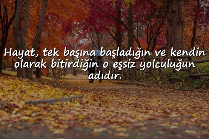 resimli yalnızlık ile ilgili sözler - 1