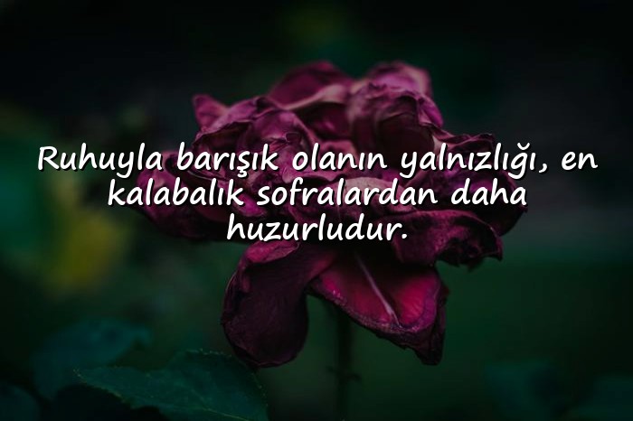 resimli yalnızlık sözleri - 21