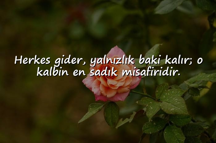 resimli yalnızlık sözleri - 6