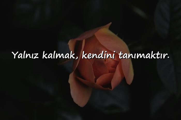 resimli yalnızlıkla ilgili sözler - 6