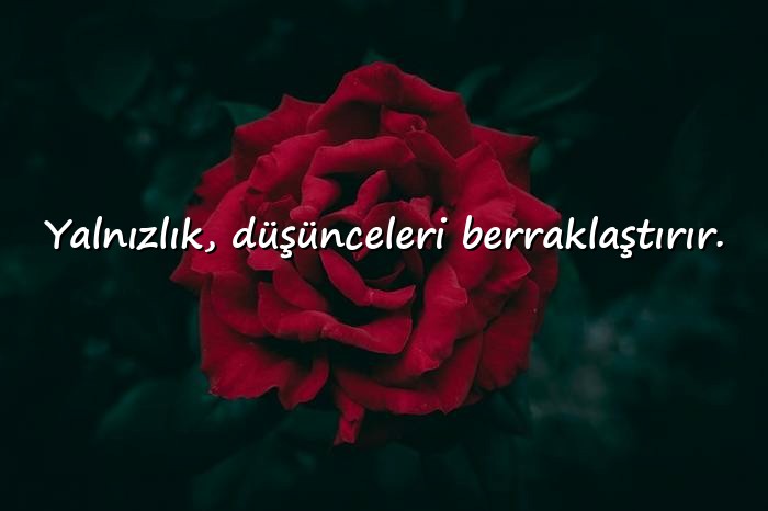resimli yalnızlıkla ilgili sözler - 21