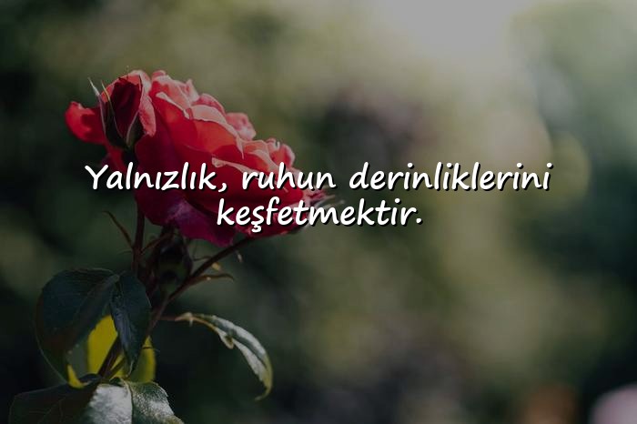 resimli yalnızlıkla ilgili sözler - 16