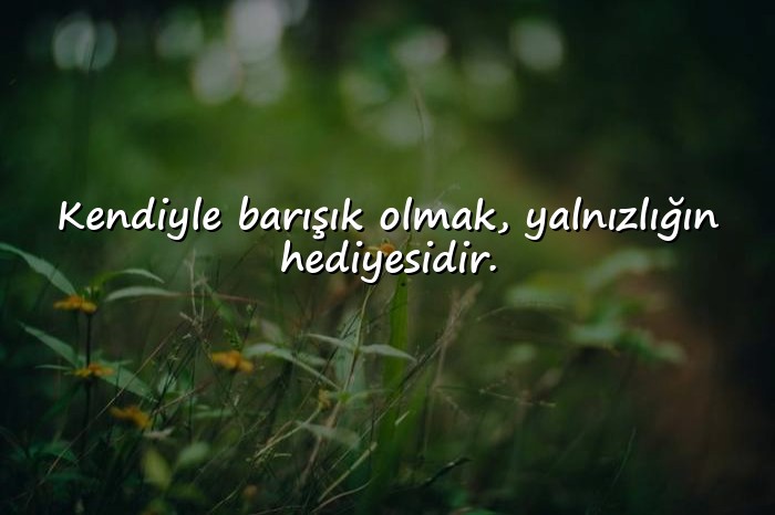 resimli yalnızlıkla ilgili sözler - 6