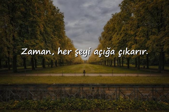 resimli zaman ile ilgili sözler - 21