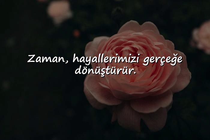 resimli zaman ile ilgili sözler - 16