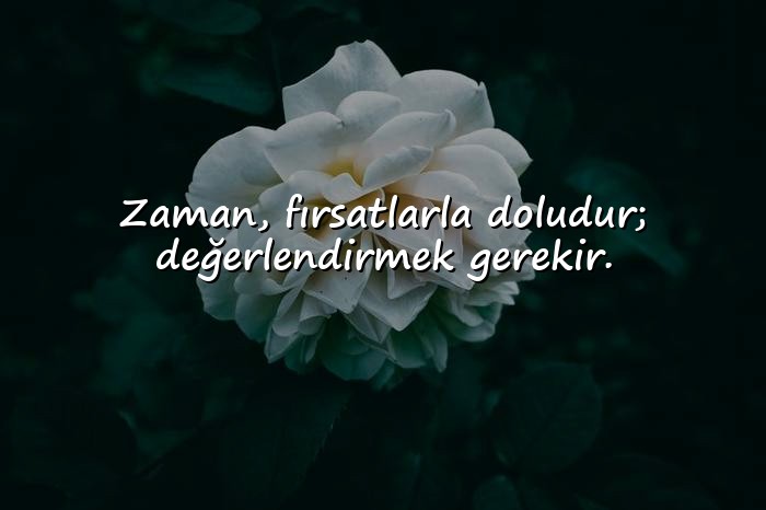 resimli zaman ile ilgili sözler - 11