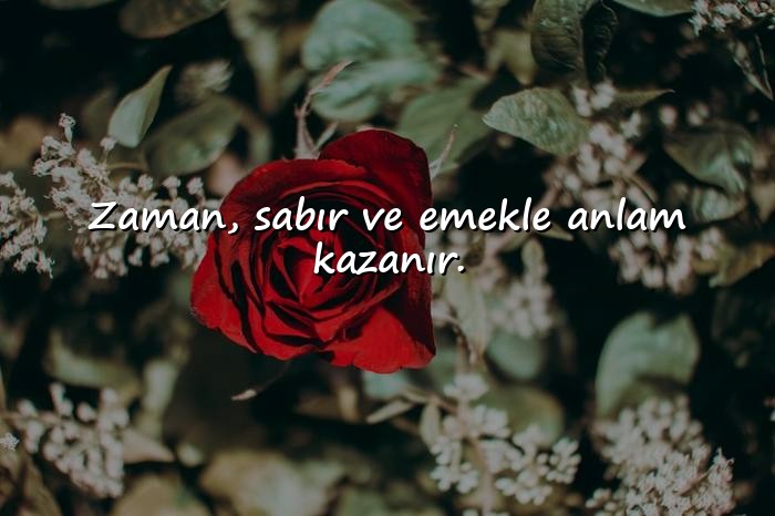resimli zaman ile ilgili sözler - 6